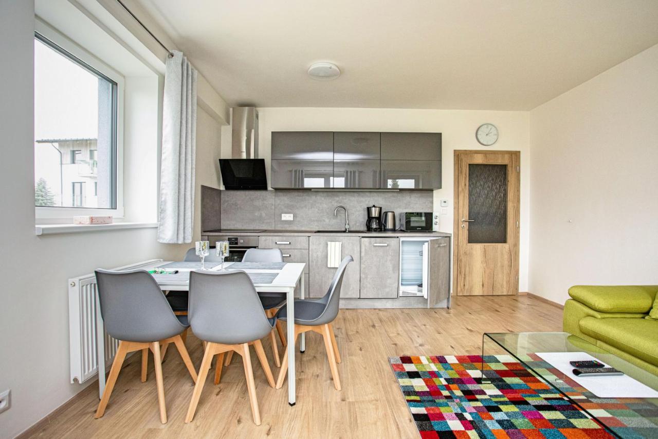 Green Apartment Klinovec By Mountain Ways Loucna pod Klinovcem Luaran gambar