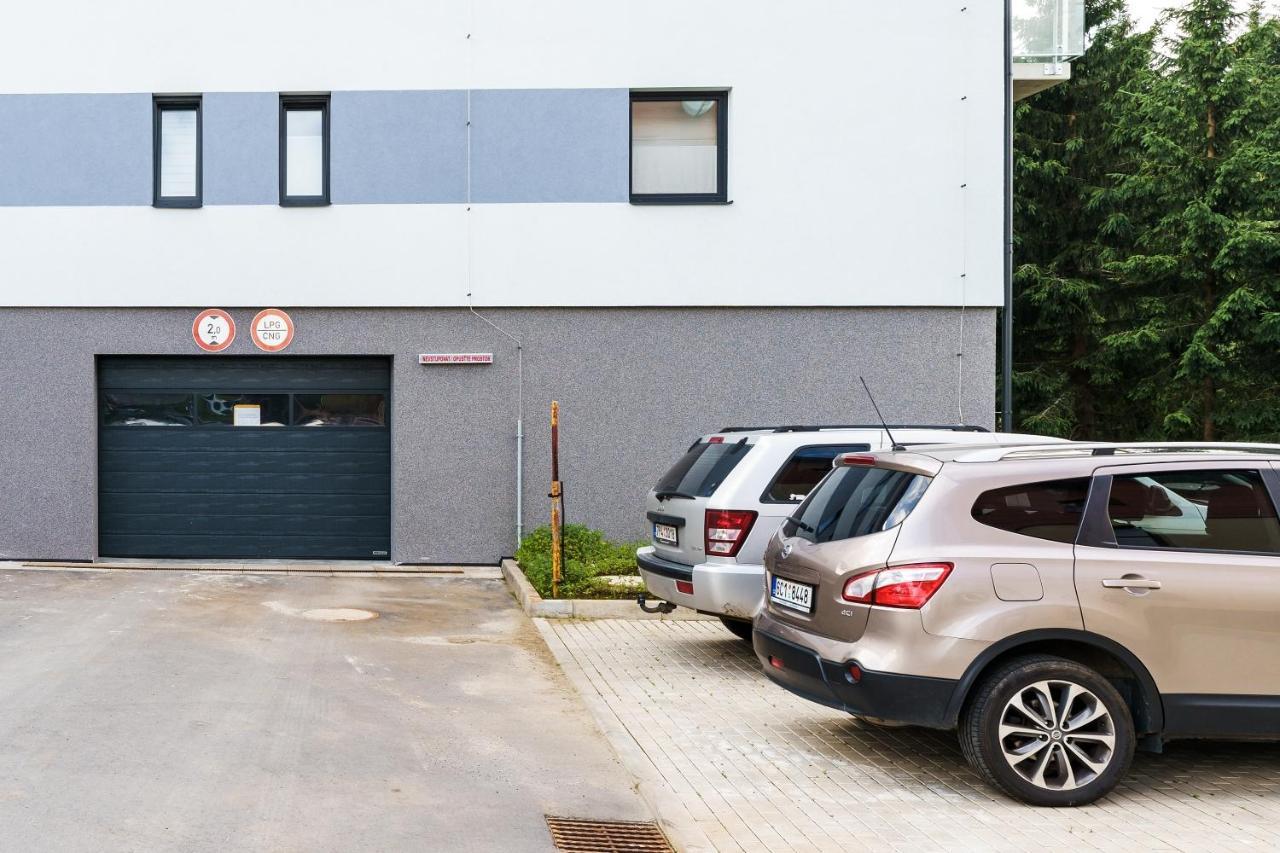 Green Apartment Klinovec By Mountain Ways Loucna pod Klinovcem Luaran gambar