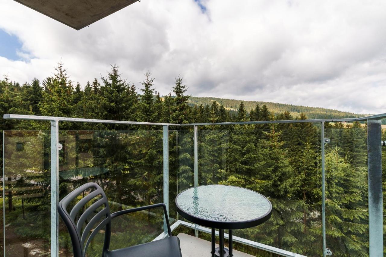 Green Apartment Klinovec By Mountain Ways Loucna pod Klinovcem Luaran gambar